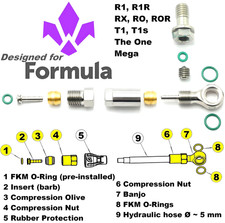 FORMULA R1 - RX - RO - T1 -