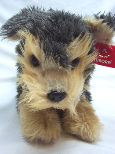 Aurora cute soft yorky - aurora,