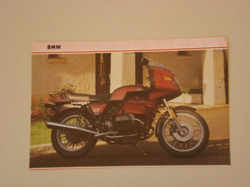 Ritaglio giornale 1981 moto - ritaglio,