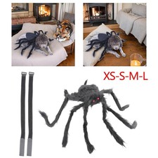 Simulazione Spider Pets
