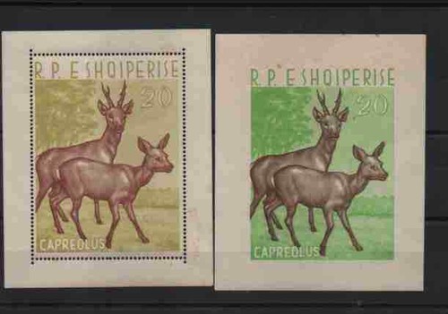 1962 albania animali bf16 - 1962:,