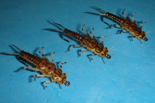 Mosche pesca mosca - a,
