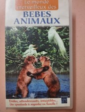 Il Mondo Meraviglioso Dei