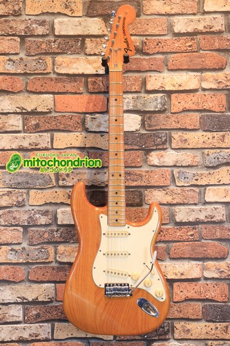 Fender 1974 stratocaster - fender,