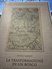 La Trasformazione Di Un Bosco