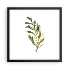 Poster 40x40cm Foglie Oliva
