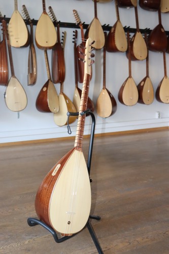 Pro baglama saz acustica - pro, a