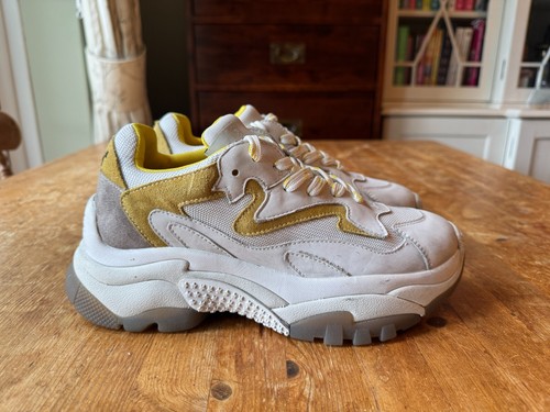 Sneakers donna ash - ash, addict