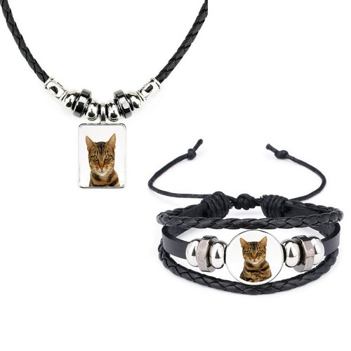 Set tabby cat - cat, pet
