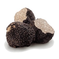 Tartufo Nero fresco -