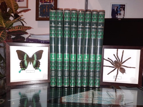 Enciclopedia illustrata - , la