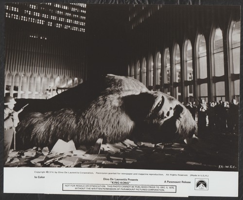 King kong giant - kong,