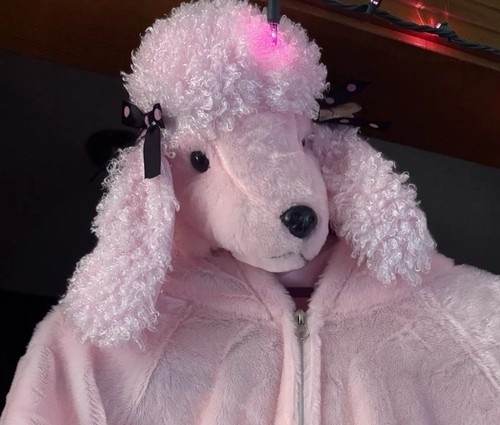 Costume barboncino rosa peloso