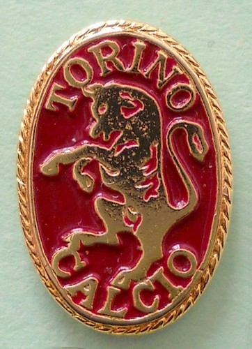 Distintivo spilla pin badge - distintivo,