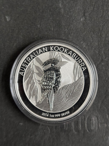 2014 kookaburra australiano - 2014,