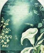 1870-80 Pasqua Monotono Giglio Gigli di Valle Vittoriano Scrapbook Card *X