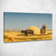 Le Trebbiatrici Del Grano