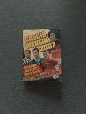 CALCIO MERLIN 2007 - ALBUM