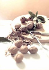 Fruit still life, fine art