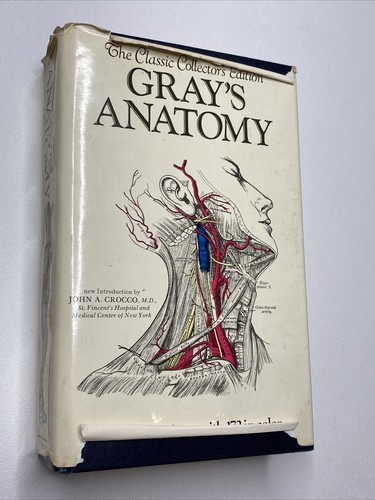 Gray anatomy the - gray's, anatomy: