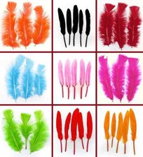 Set confezione piume - confezione,