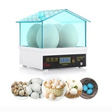 Tabletop Incubator 