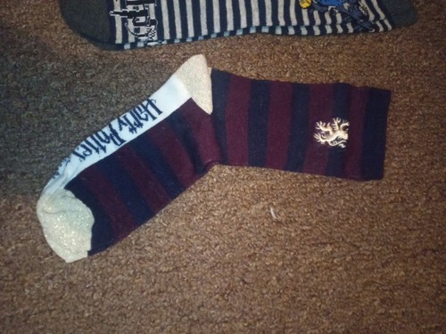 Calze harry potter casa - potter, di