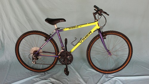 Cicloturismo anni viner - , 90