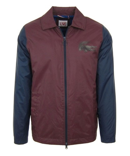 Lacoste uomo men giacca - lacoste,
