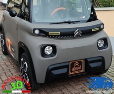 Targa Decorativa Anteriore per