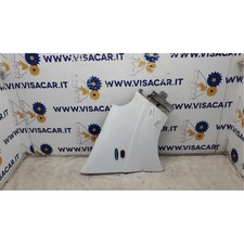 Parafango Anteriore Destro Renault Trafic Serie 3 (2007)