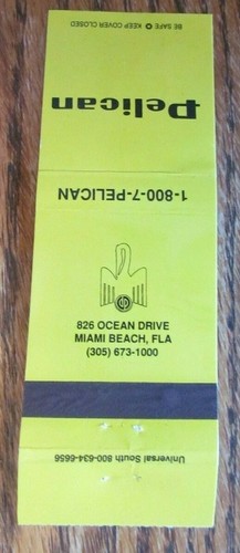 Miami beach florida - beach,, pelican
