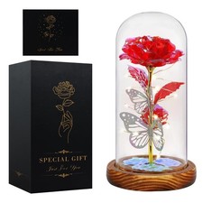 Seachrgif Regalo San Valentino