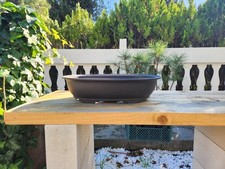 Vaso da bonsai ovale in resina