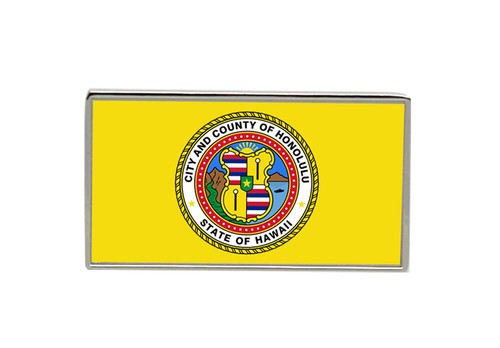 Spilla insegna bandiera - spilla,