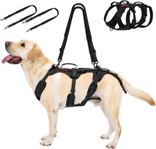 Pettorina per Cani Taglia