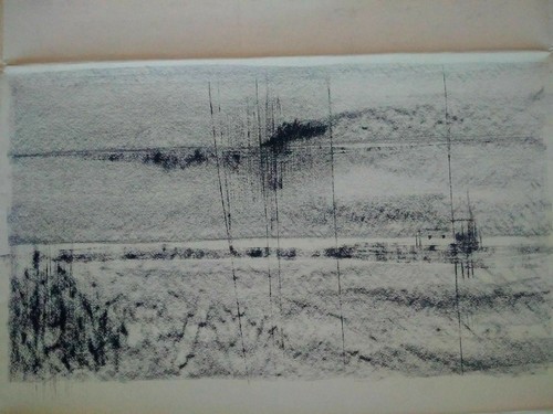 Raro grande disegno - raro,