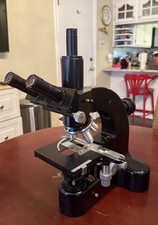 Microscopio trinoculare Leitz