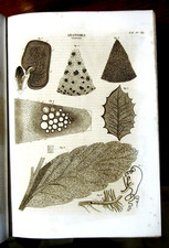 1849 Stampa Antica