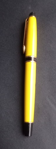 Waterman expert fountain - waterman,