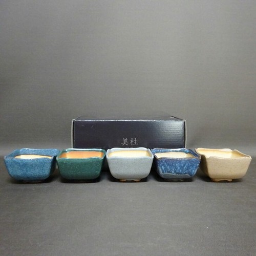 Miju mini vaso - miju, bonsai