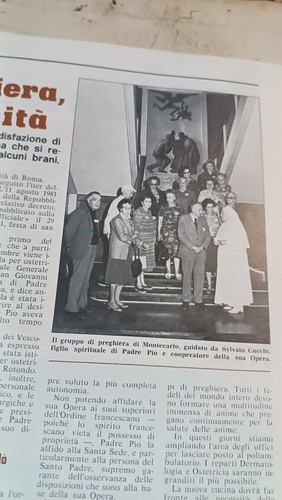 Sylvain cucchi bitto - cucchi, messina