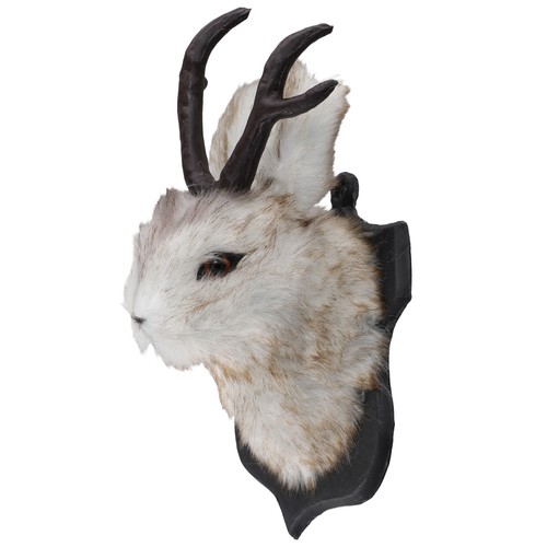 Regalo pasqua teste di - di,