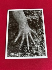 Sebastião Salgado - Marine Iguana, Galápagos, Ecuador (Genesis, 2006)
