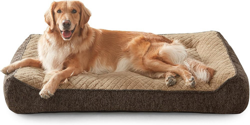 Cuccia cane interno taglia - cane,
