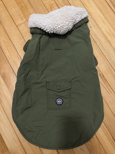 American beagle outfitters - american, m
