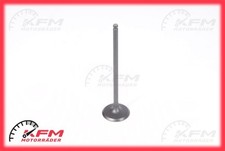 Yamaha YZF-R1 SP FZ1-N Fazer