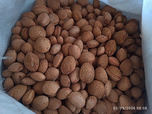 Mandorle siciliane con guscio