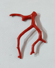 Ramo di corallo italiano 100%