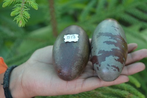 Shiva lingam stone narmada - shiva,